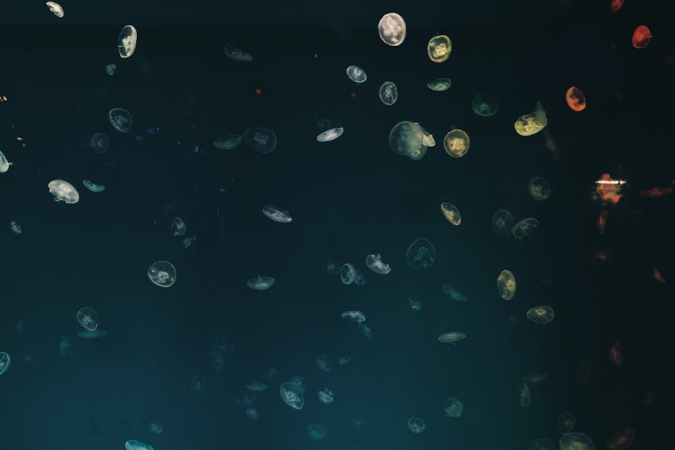 Mastering Spark: Should You Infer Schema in Production?